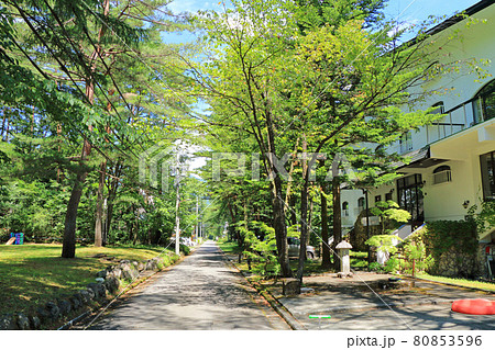 白馬村　みそら野別荘地 80853596