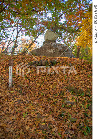長瀞の秋　蓬莱島公園の景色　水神宮　朝日を浴びる紅葉　 80853690