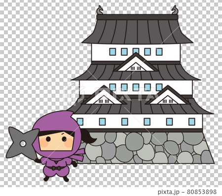 Castle Tokunoichi 80853898