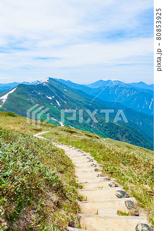 初夏の巻機山登山:山頂からの眺め 初夏の巻機山登山:山頂からの眺め 80853925