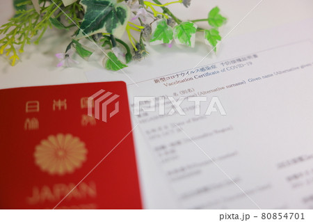 ワクチン接種証明書とパスポート_背景に観葉植物 80854701