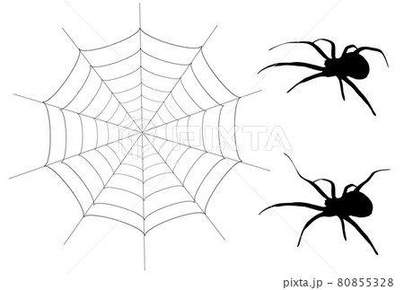 ハロウィン 蜘蛛の巣 クモ アイコンのイラスト素材