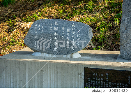 震災の教訓　とにかく高台へ 80855429