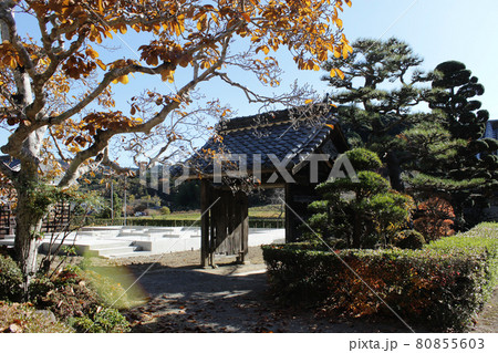 浜松市北区引佐町伊平　長興寺初冬 80855603