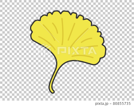 イチョウの葉のイラストのイラスト素材