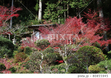 浜松市北区引佐町伊平　長興寺初冬 80855945
