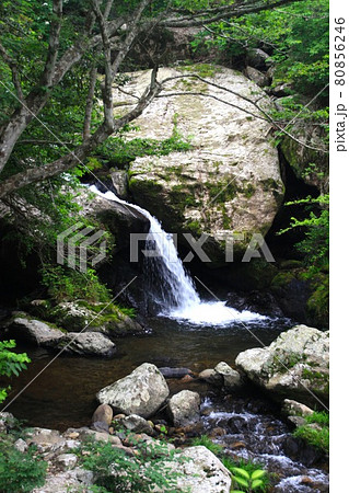 るり渓 るり渓 80856246