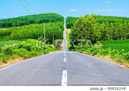 北海道旭川市　就実の丘のアップダウン道路 80856248