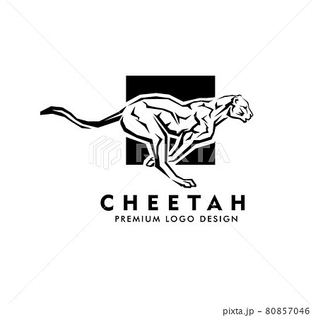 running cheetah vector logo design 80857046