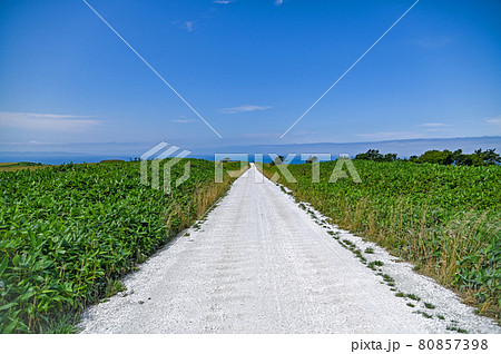 最北端の白い道 夏の北海道 最北端の白い道 夏の北海道 80857398