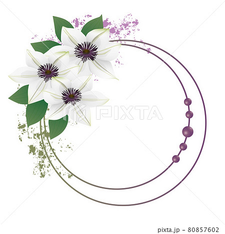 クレマチスの花のイラストフレームのイラスト素材 クレマチスの花のイラストフレームのイラスト素材
