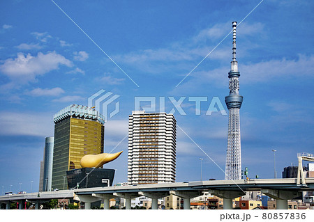 浅草　吾妻橋から東京スカイツリーとアサヒビールタワーの風景 80857836