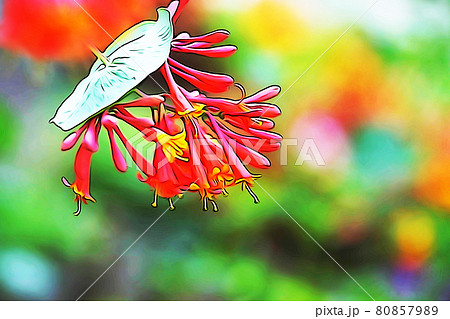 パステル調　”ツキヌキニンドウ”　イラストイメージ 80857989