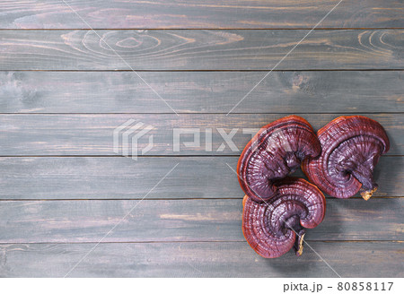 Ganoderma lucidum mushroom on wooden floor 80858117