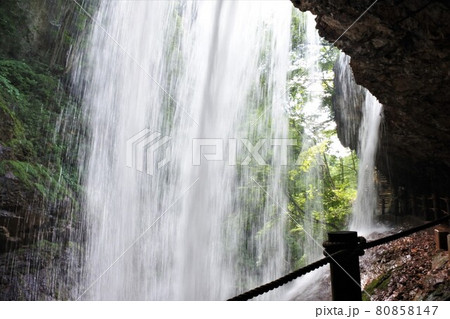 長野県雷滝の遊歩道 80858147