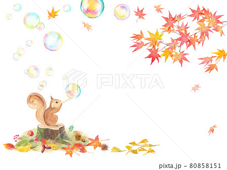 シャボン玉を吹くリスと紅葉の水彩イラスト。秋のバナー背景。ベクターデータ。 80858151