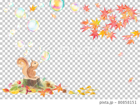 Watercolor illustration of squirrels blowing soap bubbles and autumn leaves. Autumn banner background. Vector data. 80858151