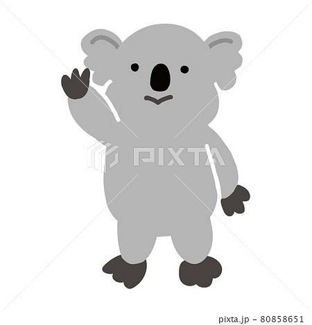 コアラのベクター画像　手を振るポーズ　全身 80858651
