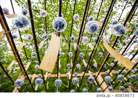 京都正寿院の風鈴 80858673