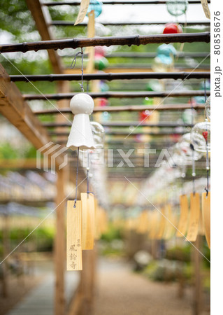 京都正寿院の風鈴 京都正寿院の風鈴 80858676