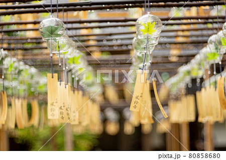 京都正寿院の風鈴 80858680