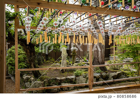 京都正寿院の風鈴 京都正寿院の風鈴 80858686