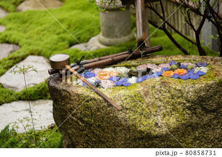 京都正寿院の花手水 80858731