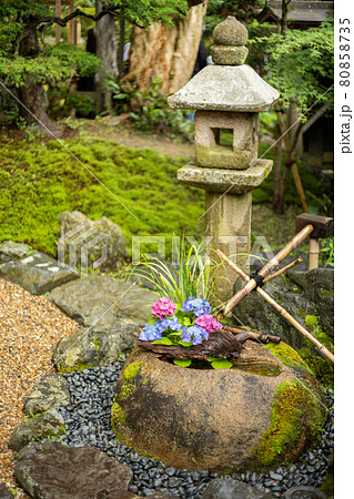 京都正寿院の花手水 京都正寿院の花手水 80858735
