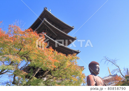 八事山興正寺　秋 80858790