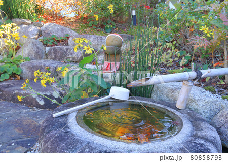 八事山興正寺 秋 八事山興正寺 秋 80858793