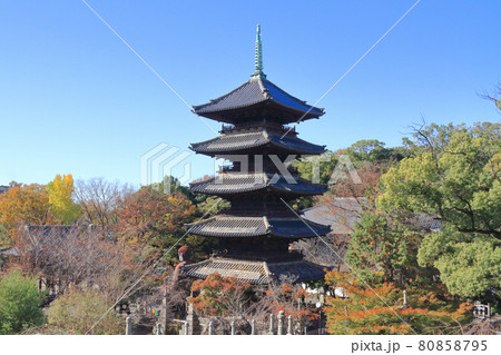 八事山興正寺 秋 八事山興正寺 秋 80858795