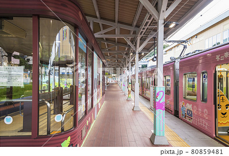 多摩動物公園駅 　多摩動物公園　京王線　駅　ホーム 80859481