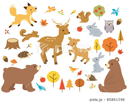かわいい秋の森の動物セットのイラスト素材