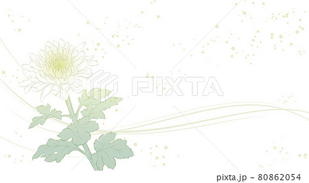 上品な菊の花の背景イラストのイラスト素材