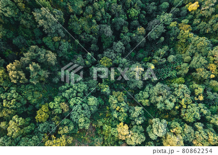 Road and mountains to rural villages Road and mountains to rural villages 80862254