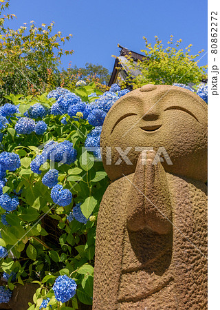 紫陽花寺のしあわせ地蔵 80862272