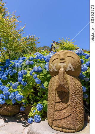 紫陽花寺のしあわせ地蔵 紫陽花寺のしあわせ地蔵 80862273