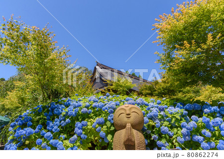 紫陽花寺のしあわせ地蔵 80862274