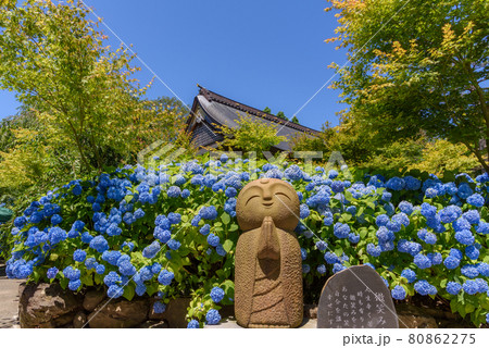 紫陽花寺のしあわせ地蔵 紫陽花寺のしあわせ地蔵 80862275