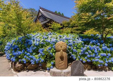 紫陽花寺のしあわせ地蔵 80862276