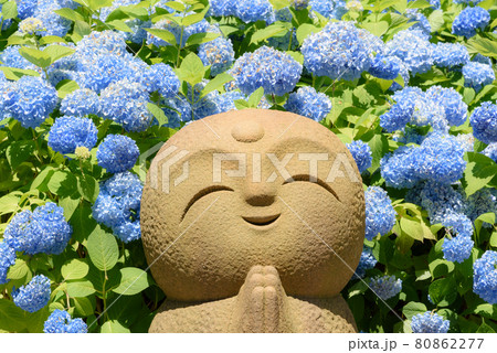 紫陽花寺のしあわせ地蔵 80862277