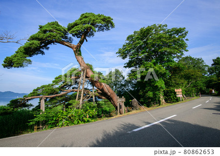 爽快な田沢湖ドライブ 秋田県 爽快な田沢湖ドライブ 秋田県 80862653