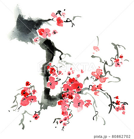 Blossom sakura tree 80862702