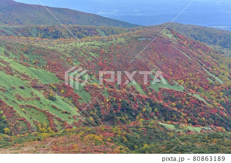 那須連山茶臼岳から紅葉の朝日岳東の鬼面山 那須連山茶臼岳から紅葉の朝日岳東の鬼面山 80863189