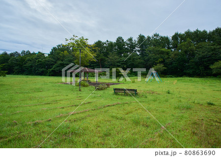 広い公園　岩手県 80863690