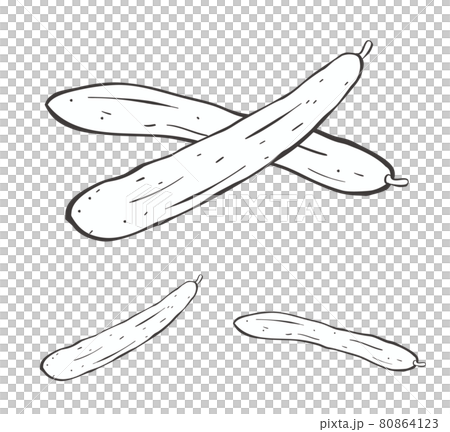 1 or 2 cucumbers lined up handwritten illustration material 80864123