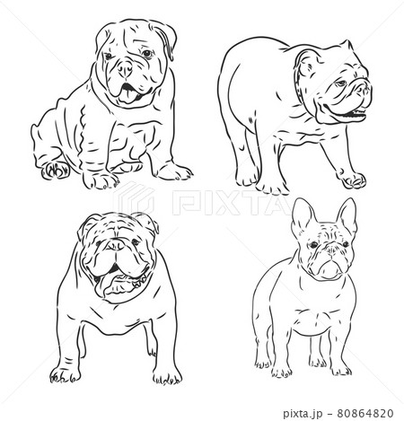 English Bulldog Face With Heart Flag UK Handdrawn Vector Illustration  Sketch Royalty Free SVG Cliparts Vectors And Stock Illustration Image  34143929