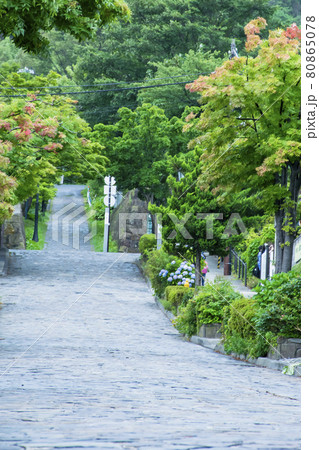雨の大三坂（函館）風景 80865078