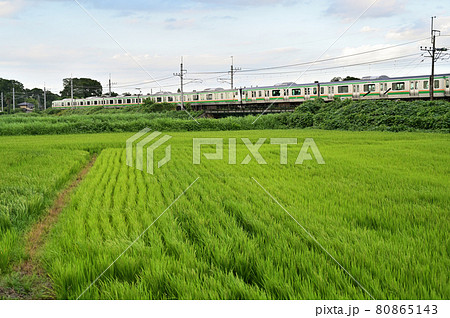 鉄道　JR東日本：東北本線(宇都宮線)　E231系 80865143