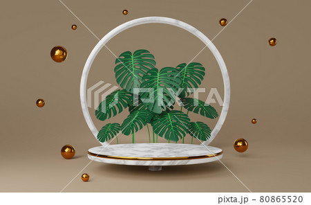 podium marble empty with leaf monstera in brown composition for modern stage display ,abstract showcase background ,Concept 3d illustration or 3d rendering 80865520